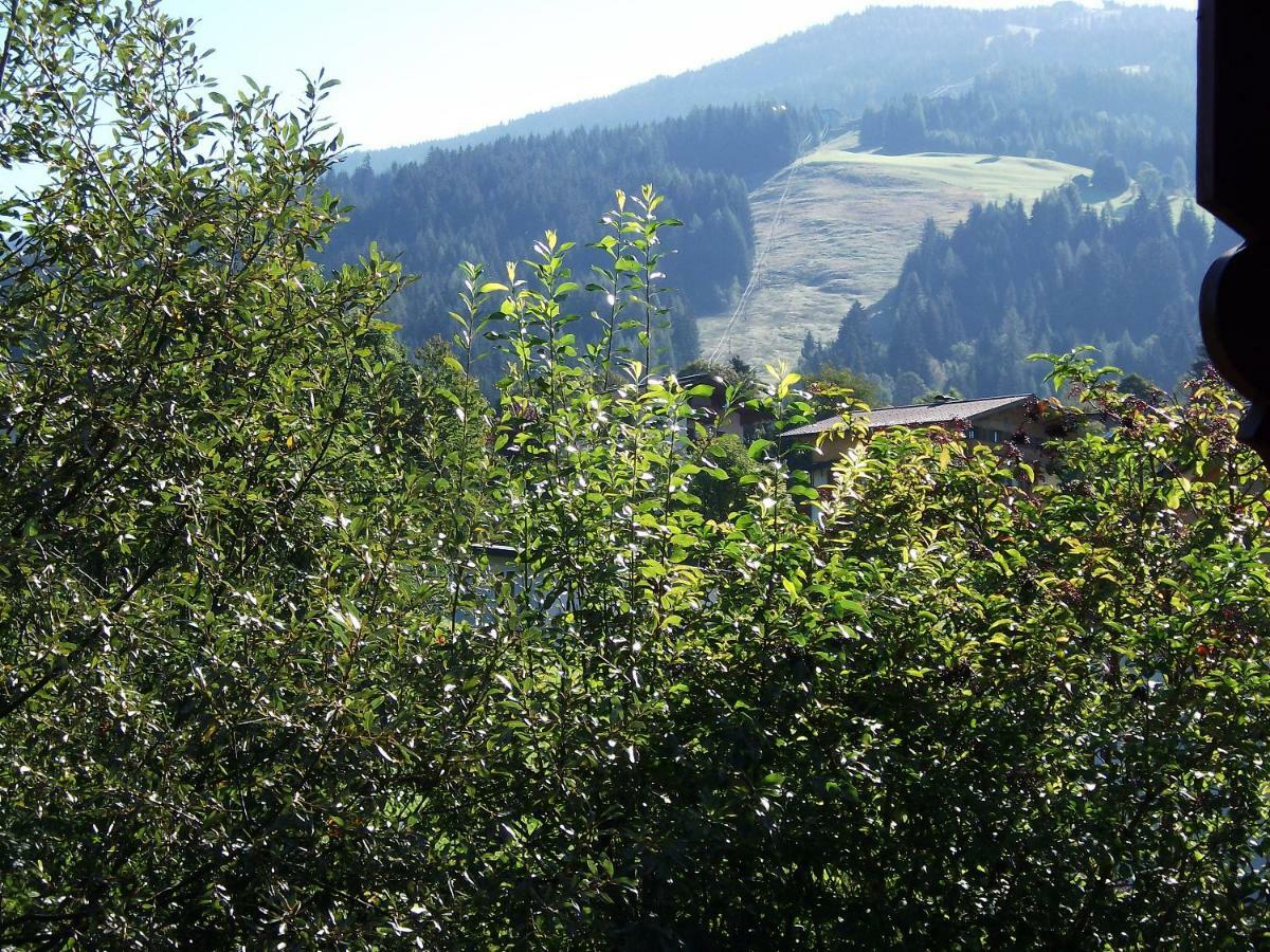 Landhaus Michael Wagrain Eksteriør bilde